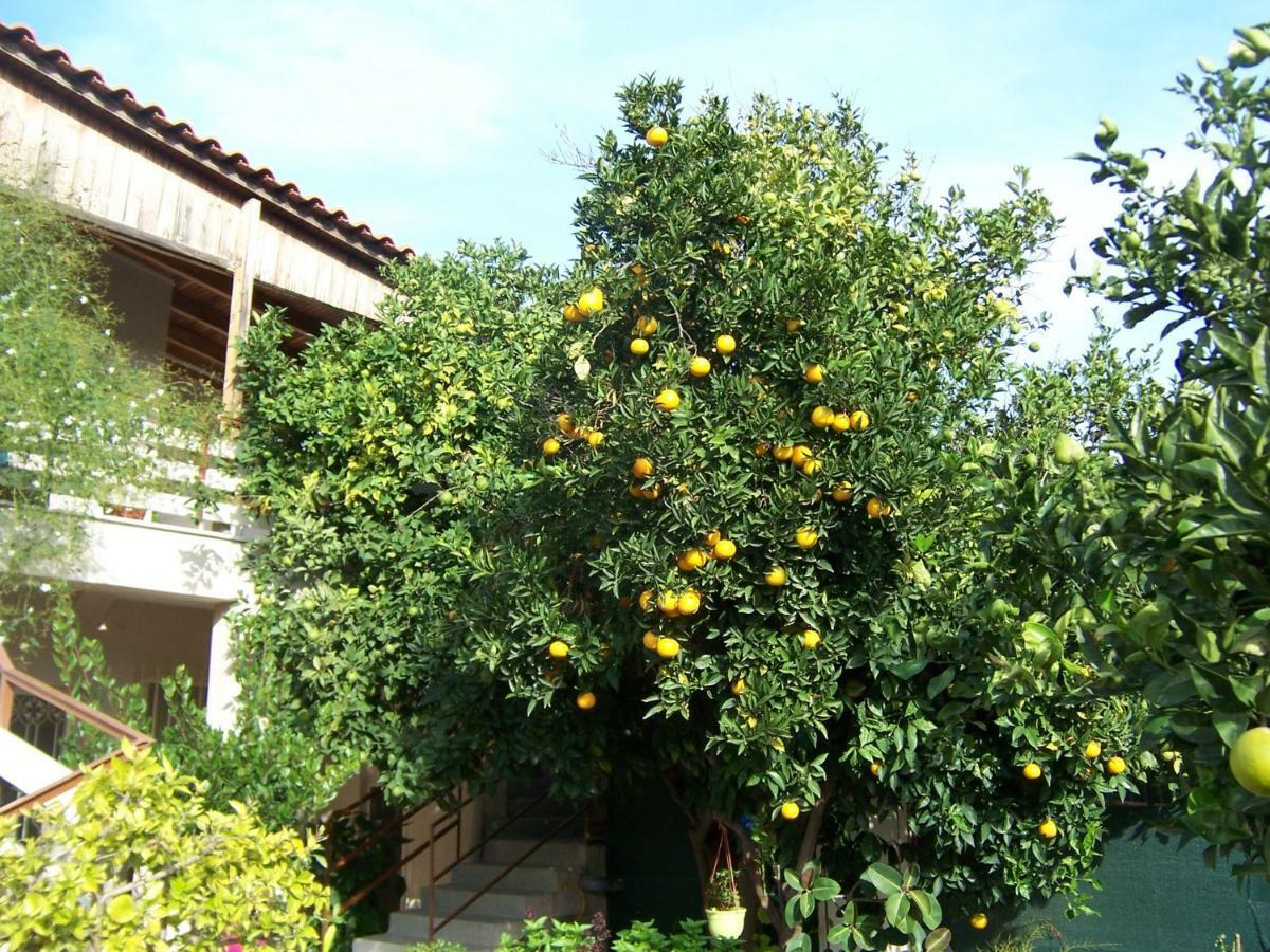 Maria'S Haus In Artemida Daire Dış mekan fotoğraf